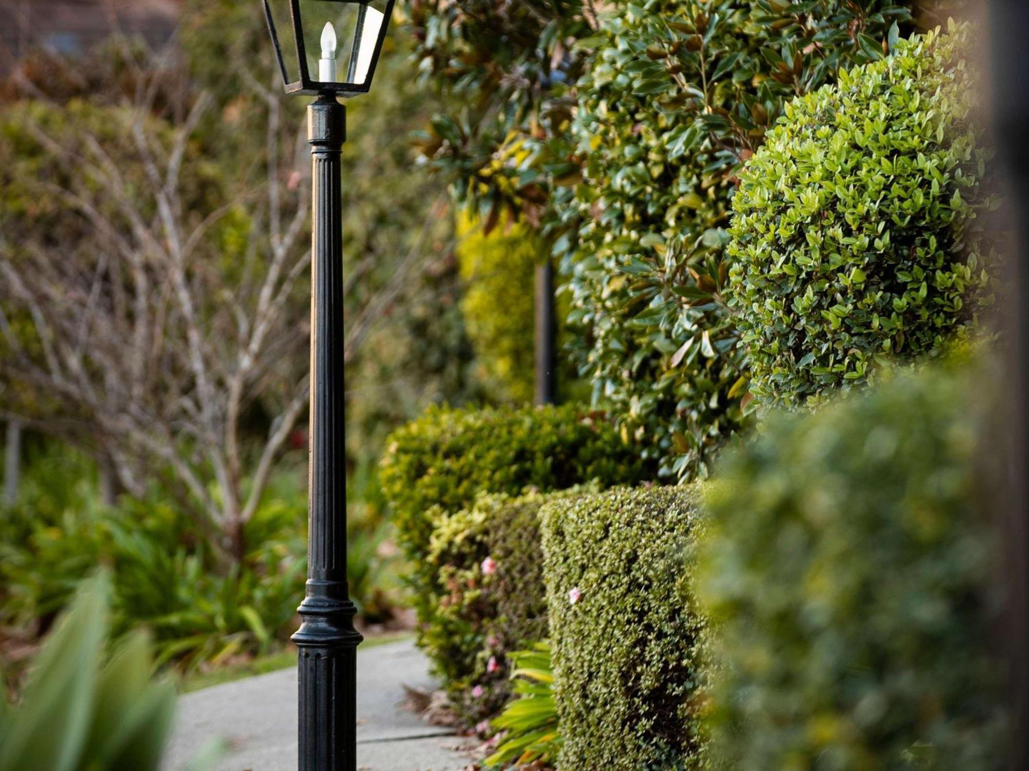Peppers The Hills Lodge Castle Hill Exterior photo
